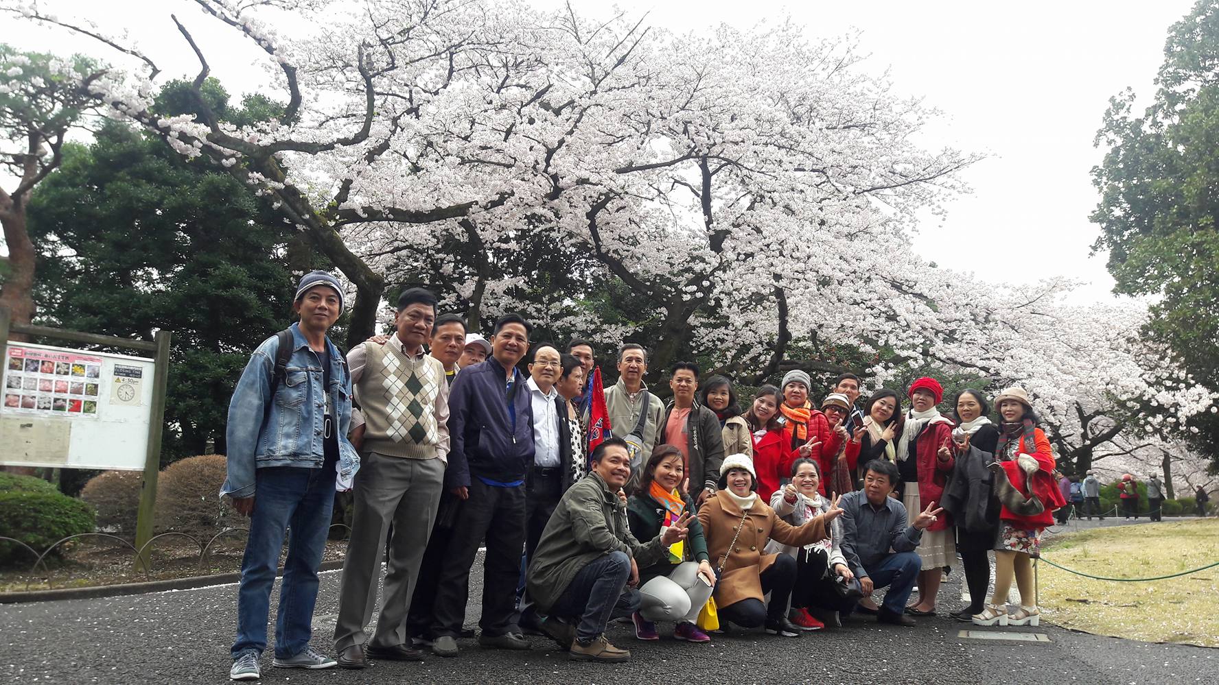 Thưởng ngoạn khung cảnh thơ mộng của mùa hoa anh đào nở rộ tại một trong những công viên hoa anh đào Shinjuku