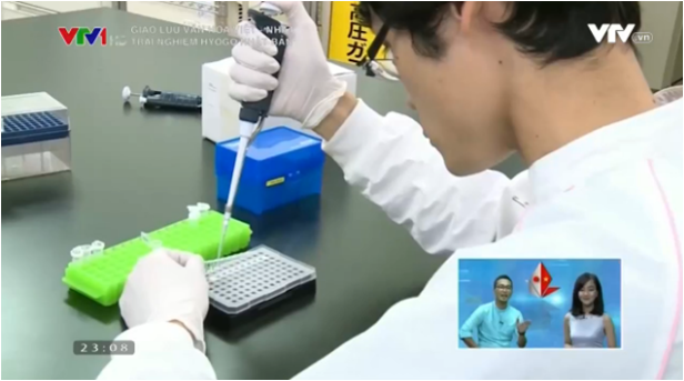 Một phân tích kiểm soát GMO cho sản phẩm bánh phở (Nguồn VTV1)