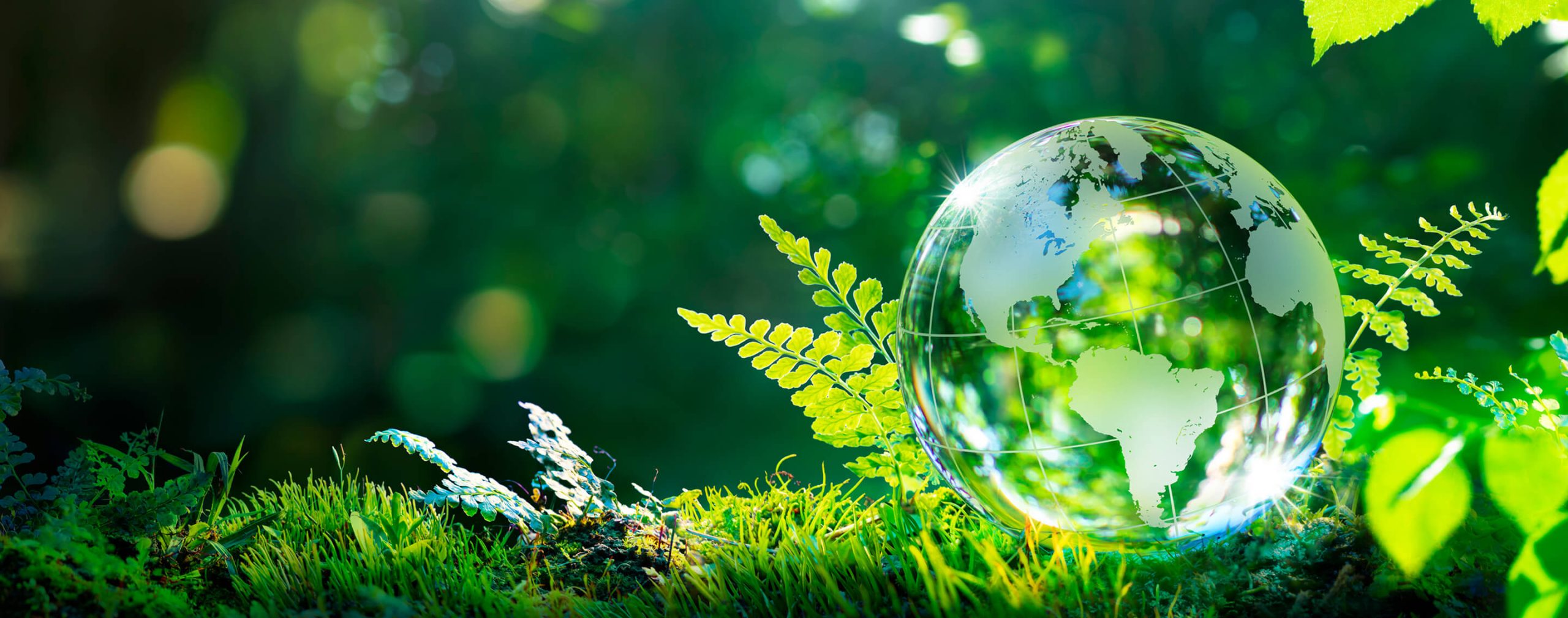 Phát triển bền vững