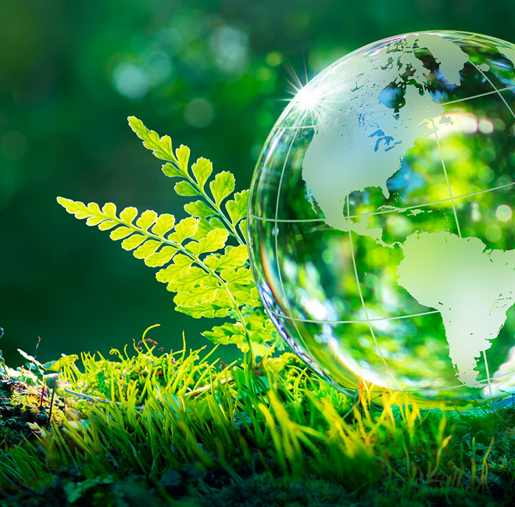 Phát triển bền vững