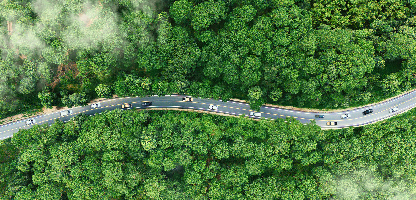 Cam kết kiến tạo tương lai bền vững